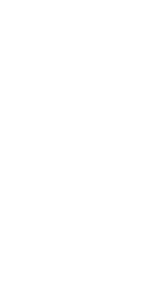 Link to diamond finishes Venetian plastering service