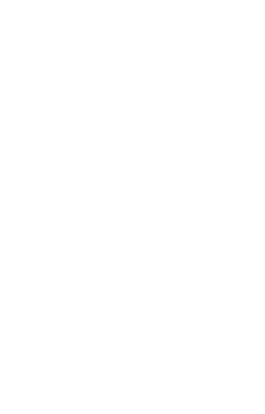 Link to Diamond Finishes rendering service